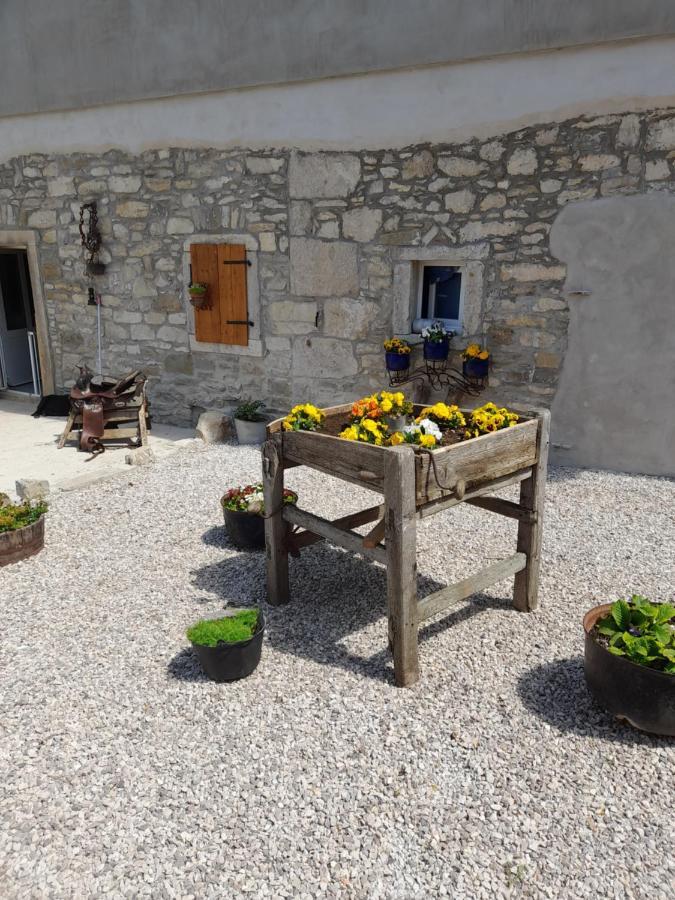 Apartament Kuca Za Odmor Lana Kršan Zewnętrze zdjęcie